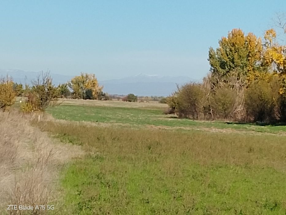 Продава се Земеделски имот в с. Конуш, Област Пловдив -  кв.м за 4080 €/дка - Снимка #1