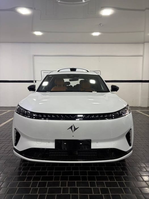 Dongfeng 2025 max Shot spravka