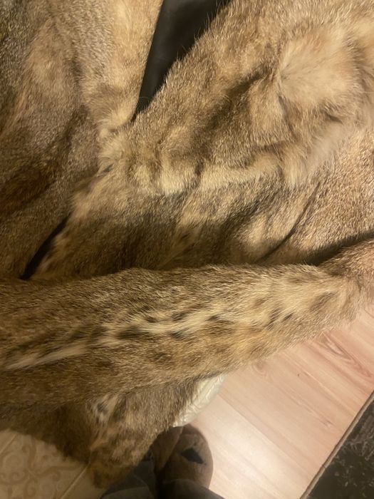 Blana lynx marimea XS/S/M/L mic