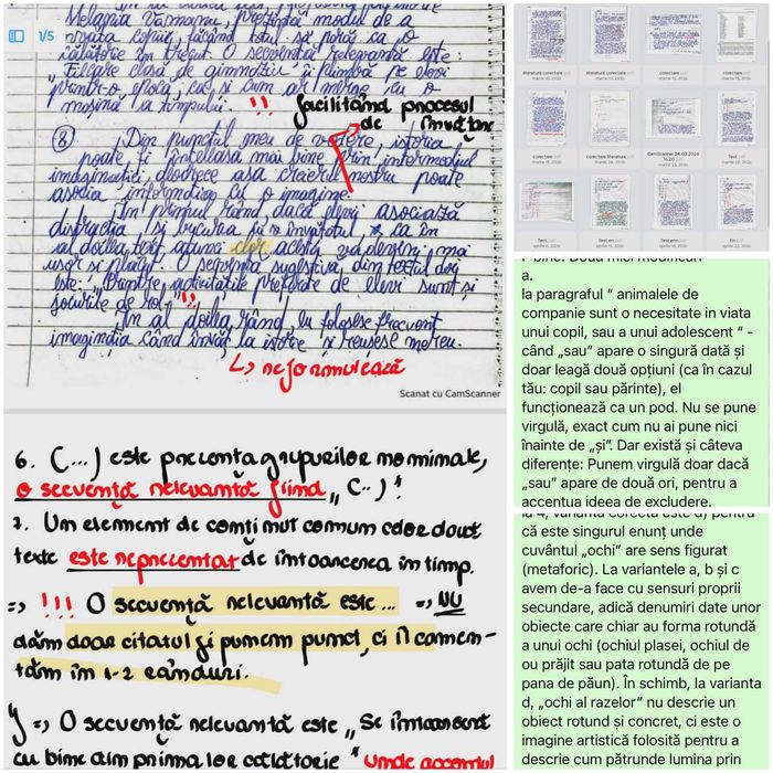 Meditații ROMÂNĂ  • Evaluare Națională / BAC • Profesor/Masterand