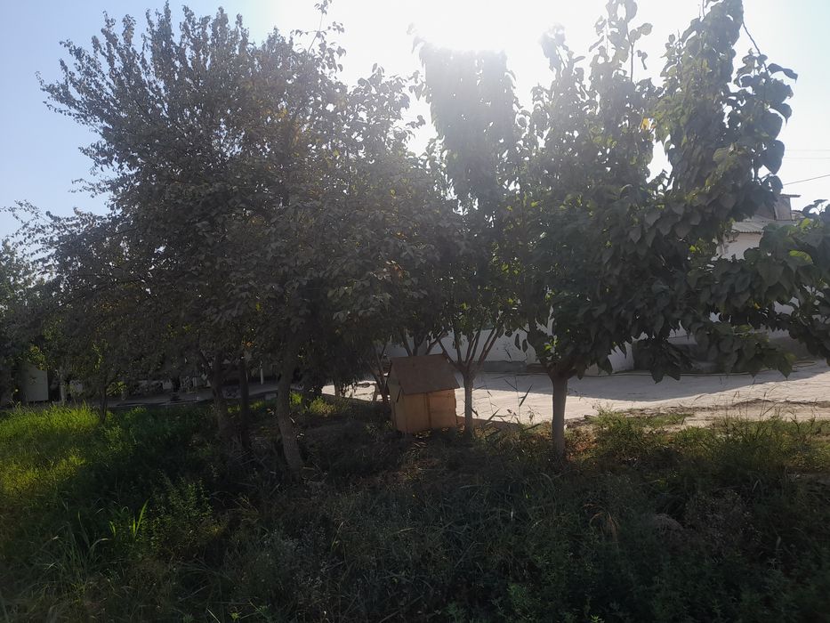 Termiz shahar namuna 1 brigada bobur