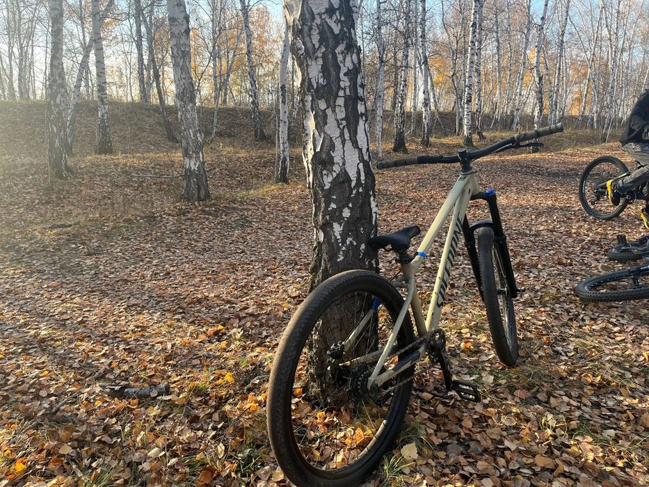 speedone bestroyer 27.5 s