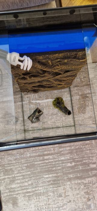 Продам террариум