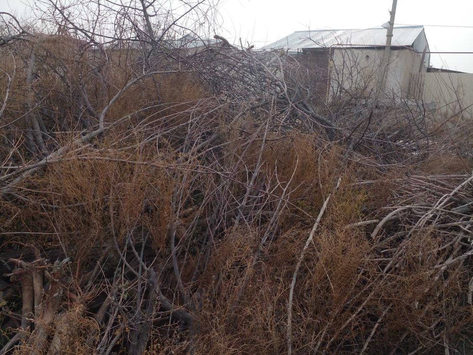 Утин сотилади бир мошин.Тароша кунда