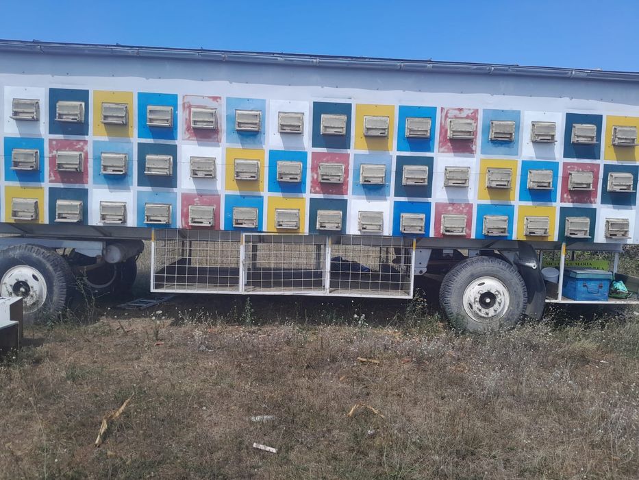 Vând pavilion apicol