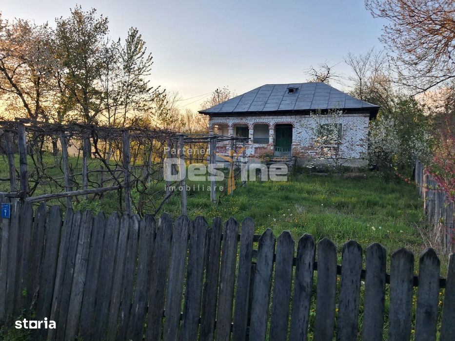 Casa batraneasca cu teren 1150 mp, vie si livada – Șerbanesti, Paus