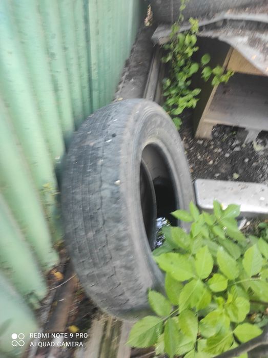 Продам резину не дорого
