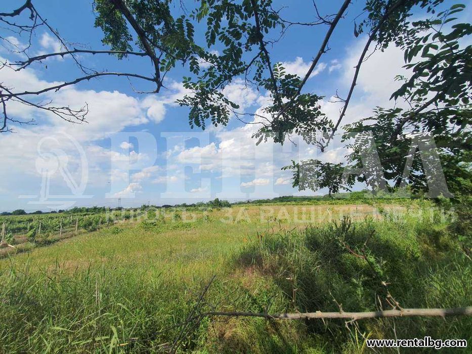 Продава се Парцел в Пловдив, Прослав - 2584 кв.м за 12 €/кв.м - Снимка #4