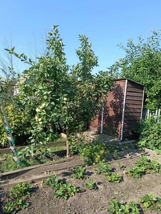 Продам дачу в Солнечном(Новопавловка) 3 сотки