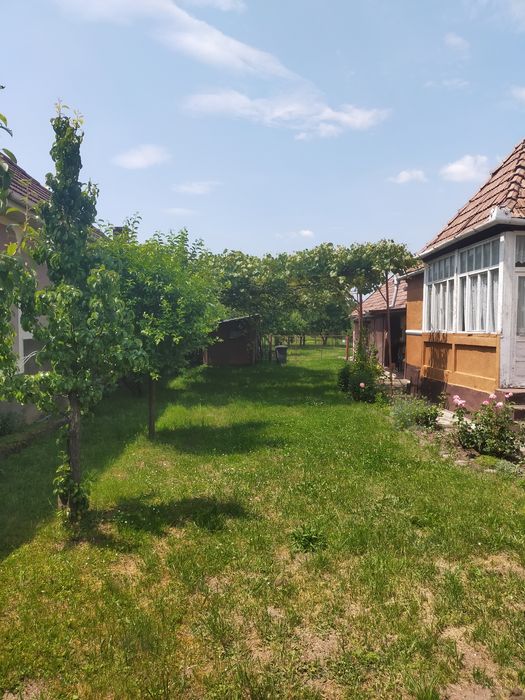 Se vinde gradina