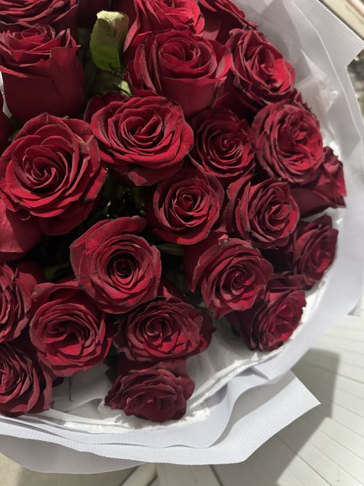 Красные розы, цветы