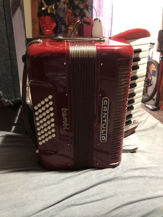 Acordeon Cantulia Bambi
