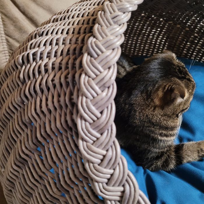 Лежанка для животных