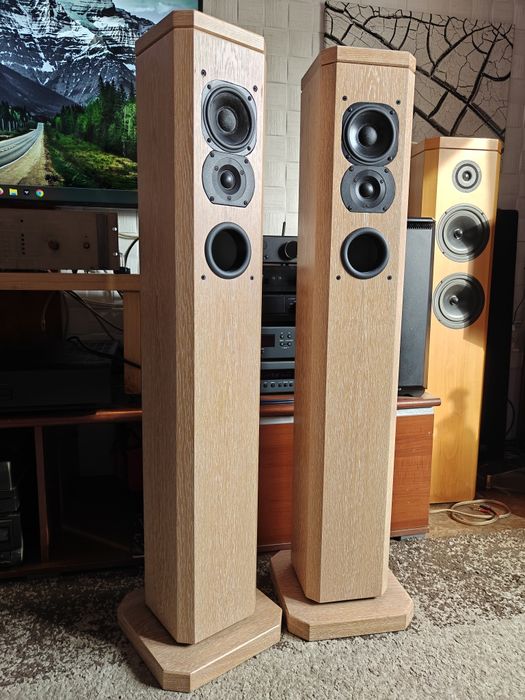 T+A  pulsar tas 1200e ( schimb) boxe podea , super sunet