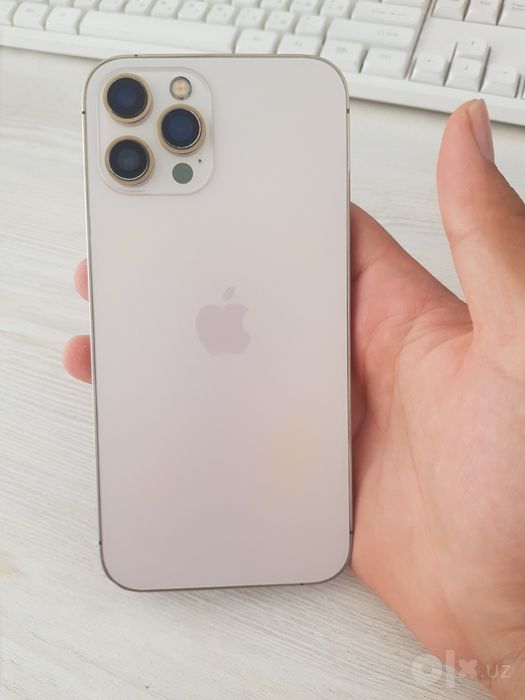Iphone 12 pro max