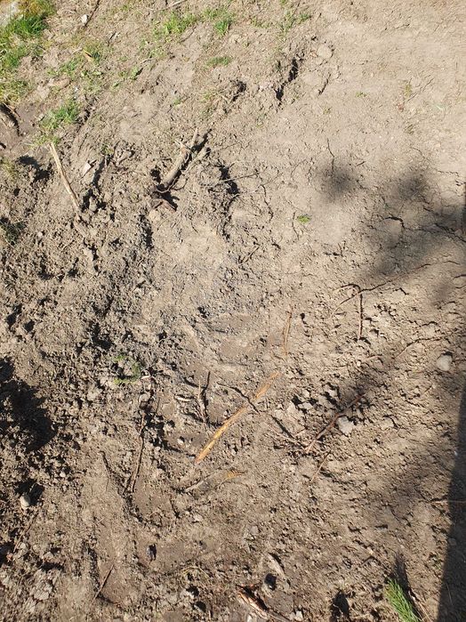 Pamant 5 mc ieftin incarcare pe loc urgent