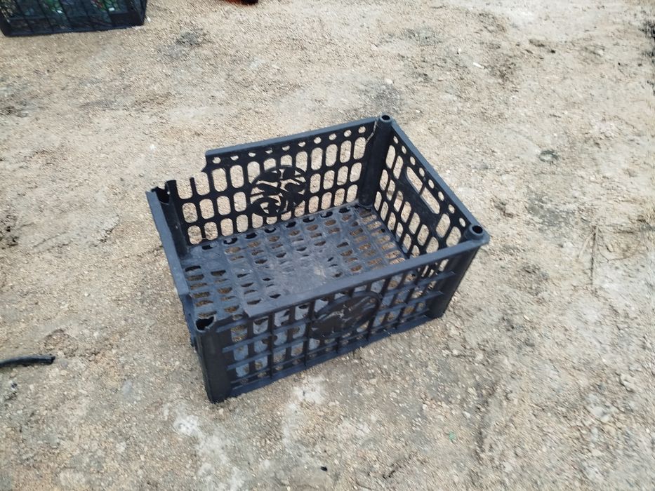 корзина пластик фруктовый