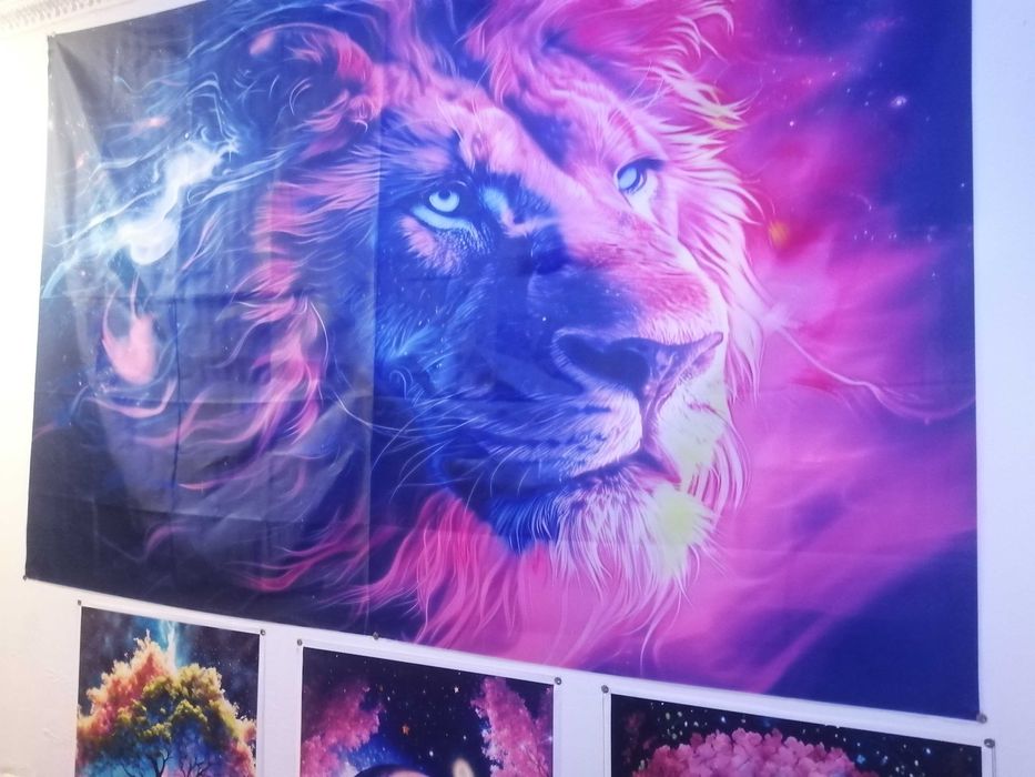 Сдаю комнатные койки