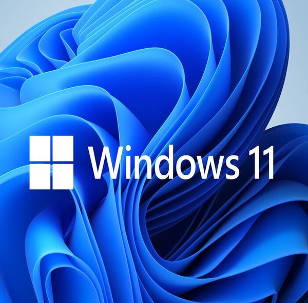 Licenta Windows 11
