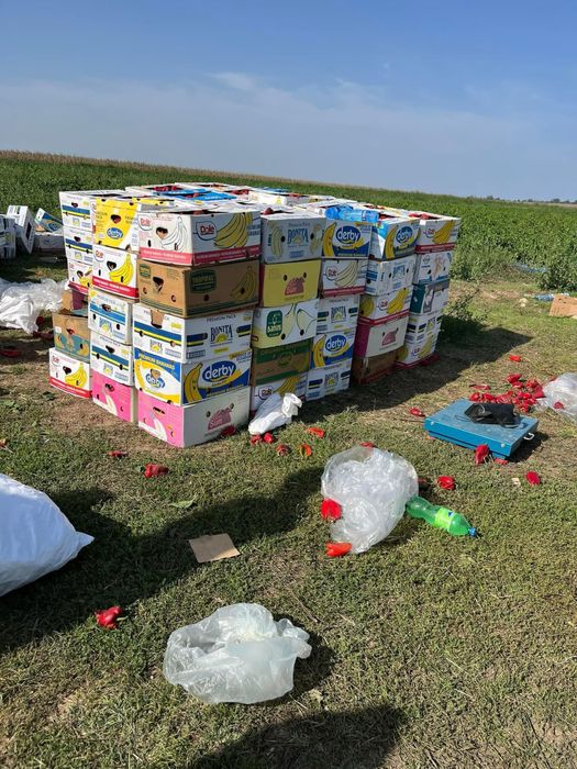 Транспортни услуги