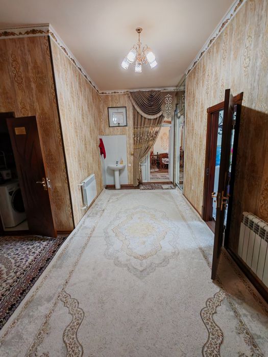 6 so'tig'lik kotej sotiladi