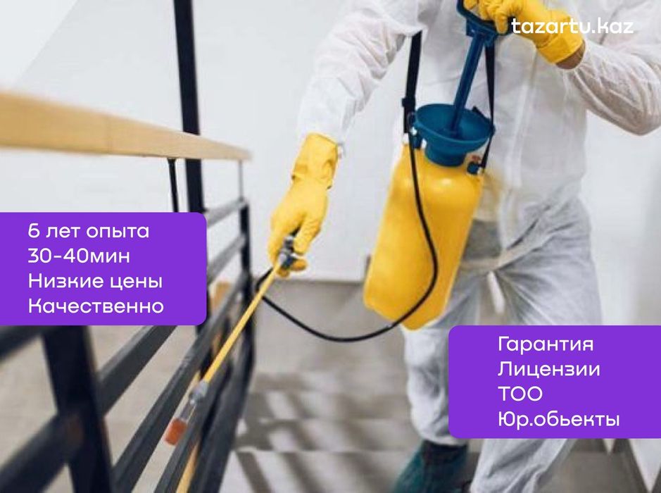 Услуги СЭС. СанЭпидемСтанция