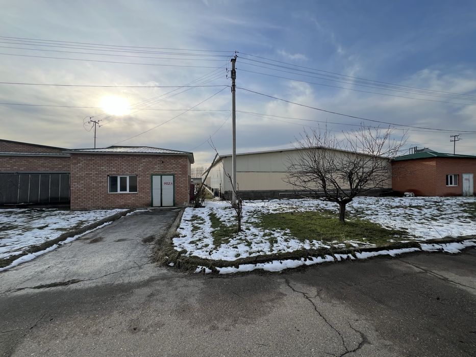 Tovuqxona va xizmat binolari