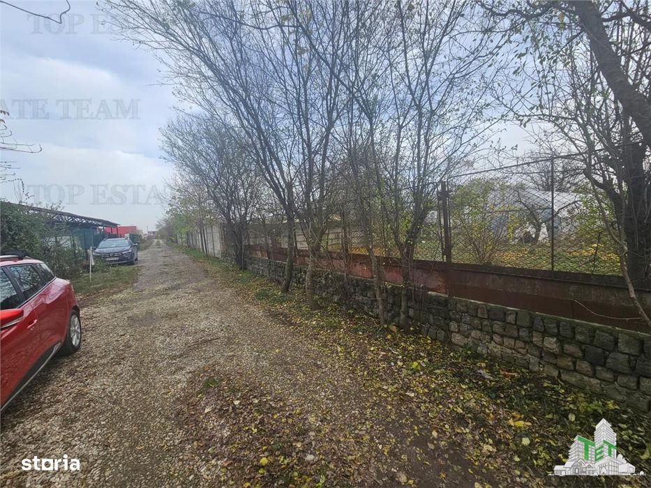 Teren 2000mp intre case langa Padurea Teghes