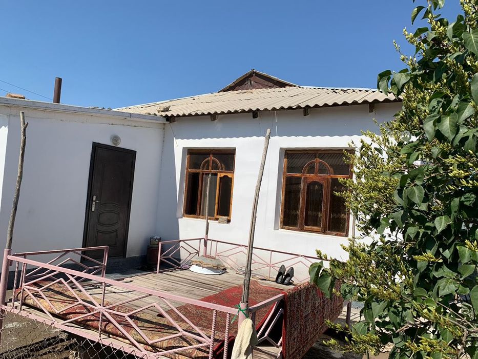 Кой кошкарга ауыстырамын