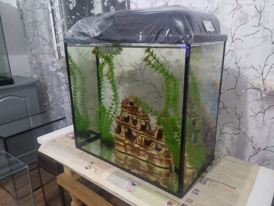 Новый аквариум 60л + бонусы и рыбки.