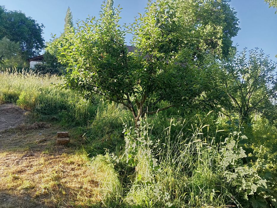 Участка сотилады