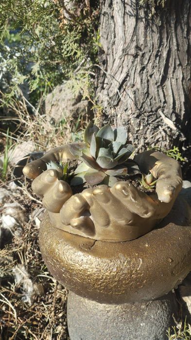 Декор для дома сада огорода