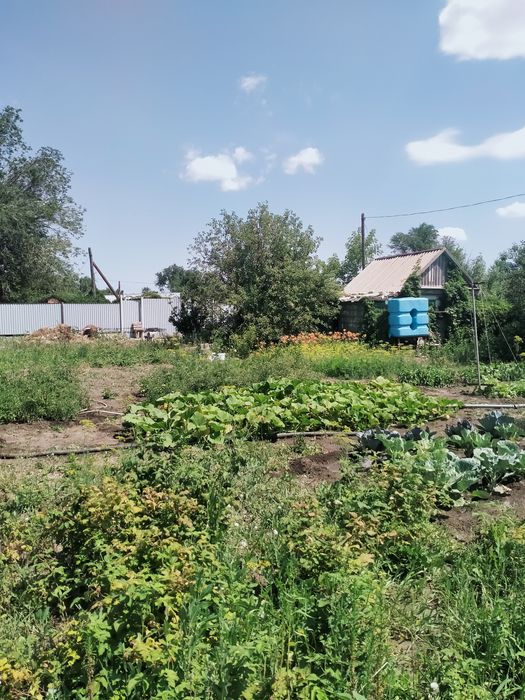 Продам дачу в черте города