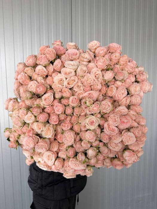 Цветы , букеты , живые розы пионы тюльпаны