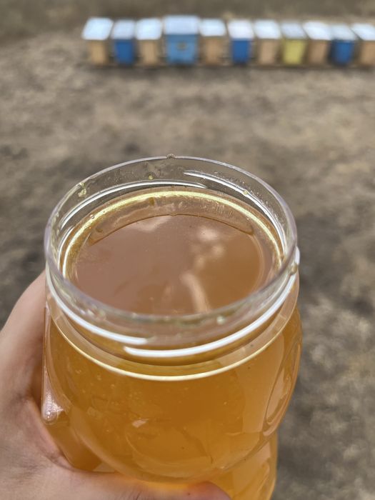 Miere Polifloră cu Lavandă