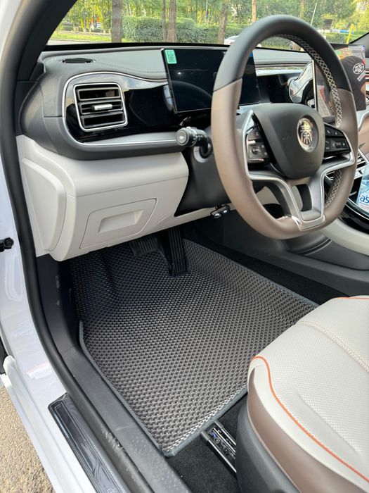 Ева полики на китайские машины BYD