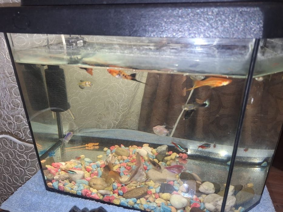 Продам аквариум 25литр