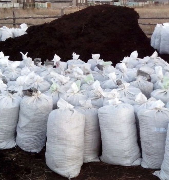 Перегной навоз