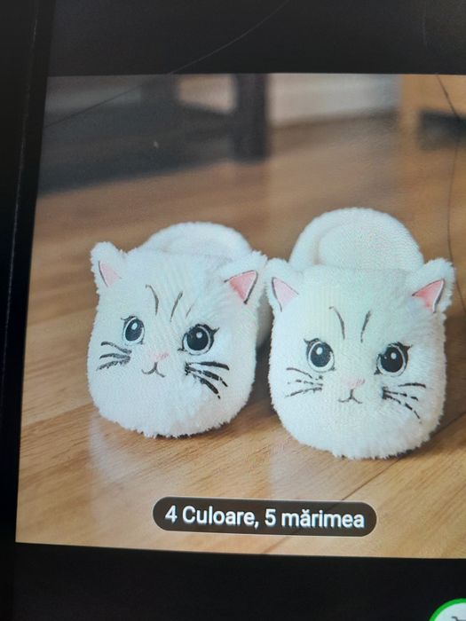 Vând 1perechi de papuci pt.femei amblaniti 30 lei perechea