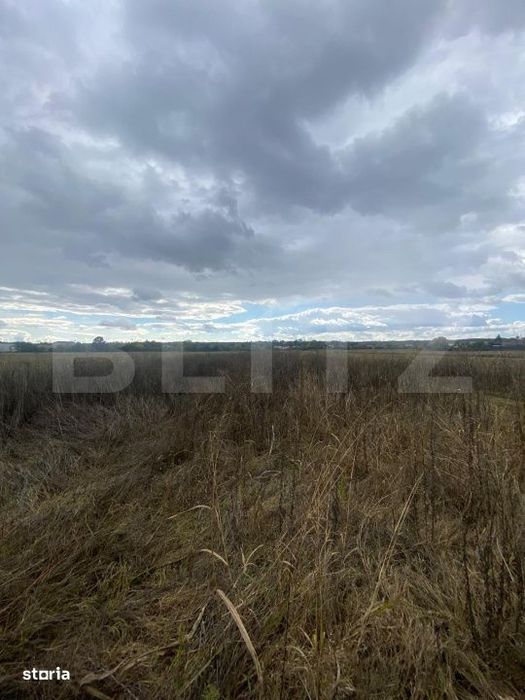Teren extravilan, 2500 mp, zona Lucieni