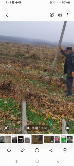 Șpalieri metalici, Șpalieri de beton gata selectati