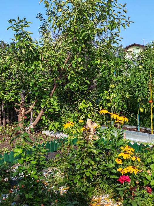 Продам красивую дачу