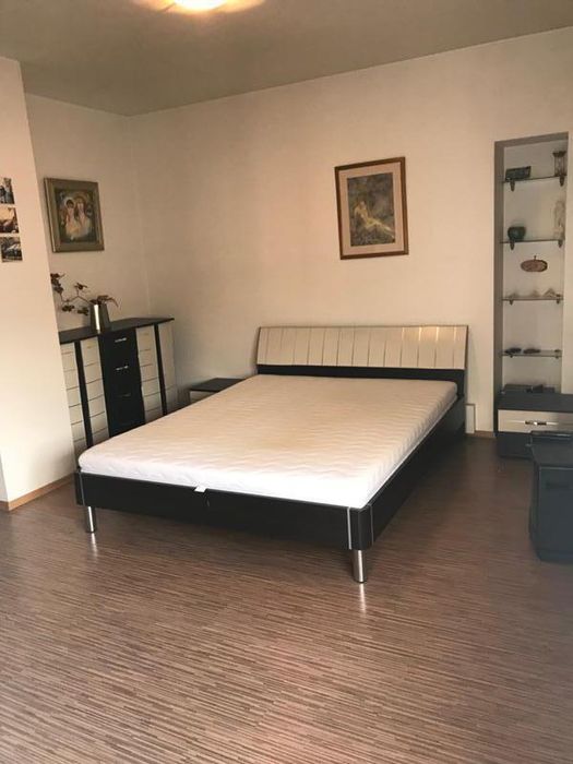 Дава се под наем Тристаен апартамент в София, Манастирски ливади - 142 кв.м за 847.62 € - Снимка #13