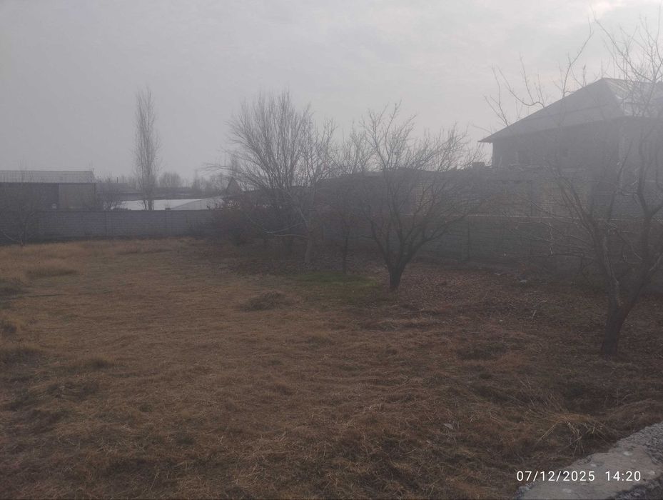 Янгийўл тумани Тинчликда 12 соток уй сотилади М39 гача 1 километр