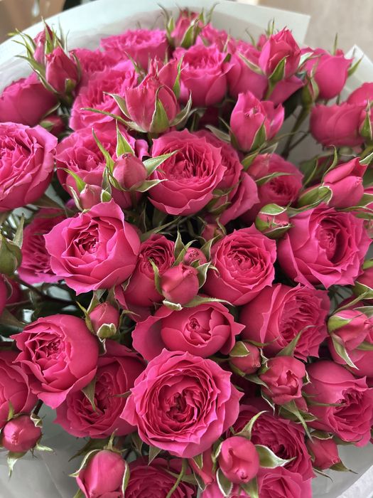 Продам красивый букет кустовых роз