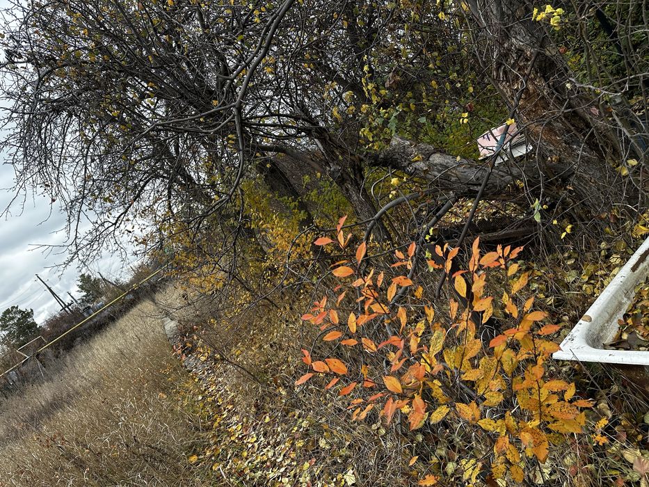 Продам дачный участок