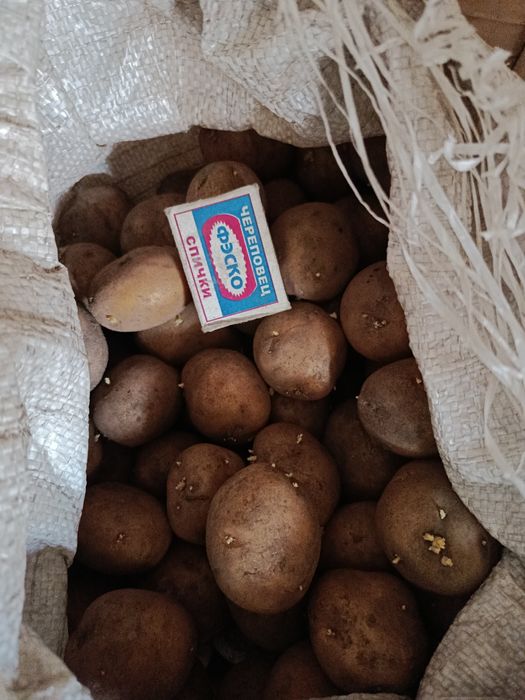 Продам картофель