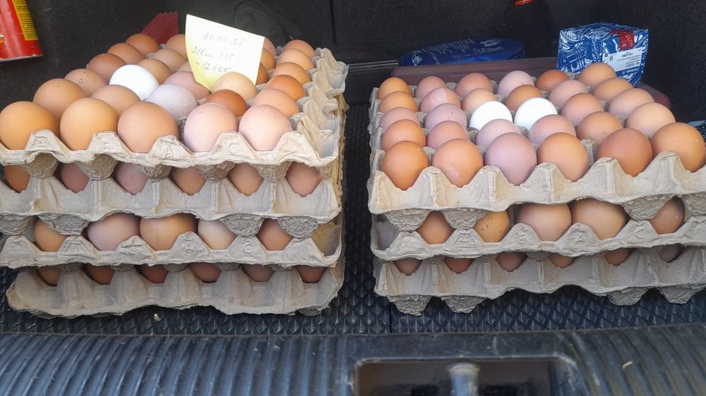 Домашние куриные яйца