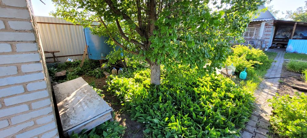 Продам дачу-баня 10,5 соток Госакт на землю,бизнес-аренда, постройка