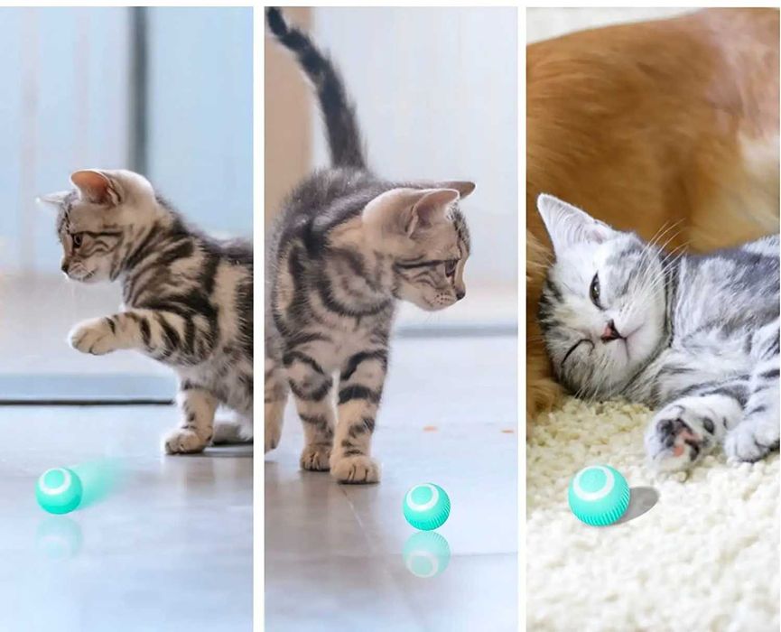 Bilă Inteligentă pentru Pisici - SIERRA